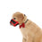 Pet Dog Mouth Cover Anti-biting Anti-barking And Eating Masks