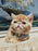 Pet New Year's Jewelry Collar Bell Pendant Bowknot