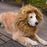Cute Pet Cosplay Clothes Transfiguration Costume Lion Mane Winter Warm Wig Cat Large Dog Party Decoration With Ear Pet Apparel