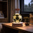 Crystal Ball Cosmic Dinosaur Indoor Night Light USB Power Warm Bedside Light Birthday Gift Night Lamp