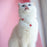 Pet Cat Beads Love Necklace