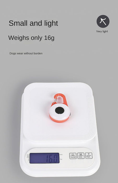 Pet Dog Collar Night Walking Light Walking Dog Light Anti-lost Luminous Pendant LED Small Night Light